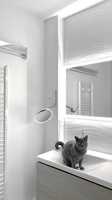 여름철 수박 고를 때 배꼽 크기랑 줄무늬 선명도로 당도 높은 과일 고르는 확실한 방법